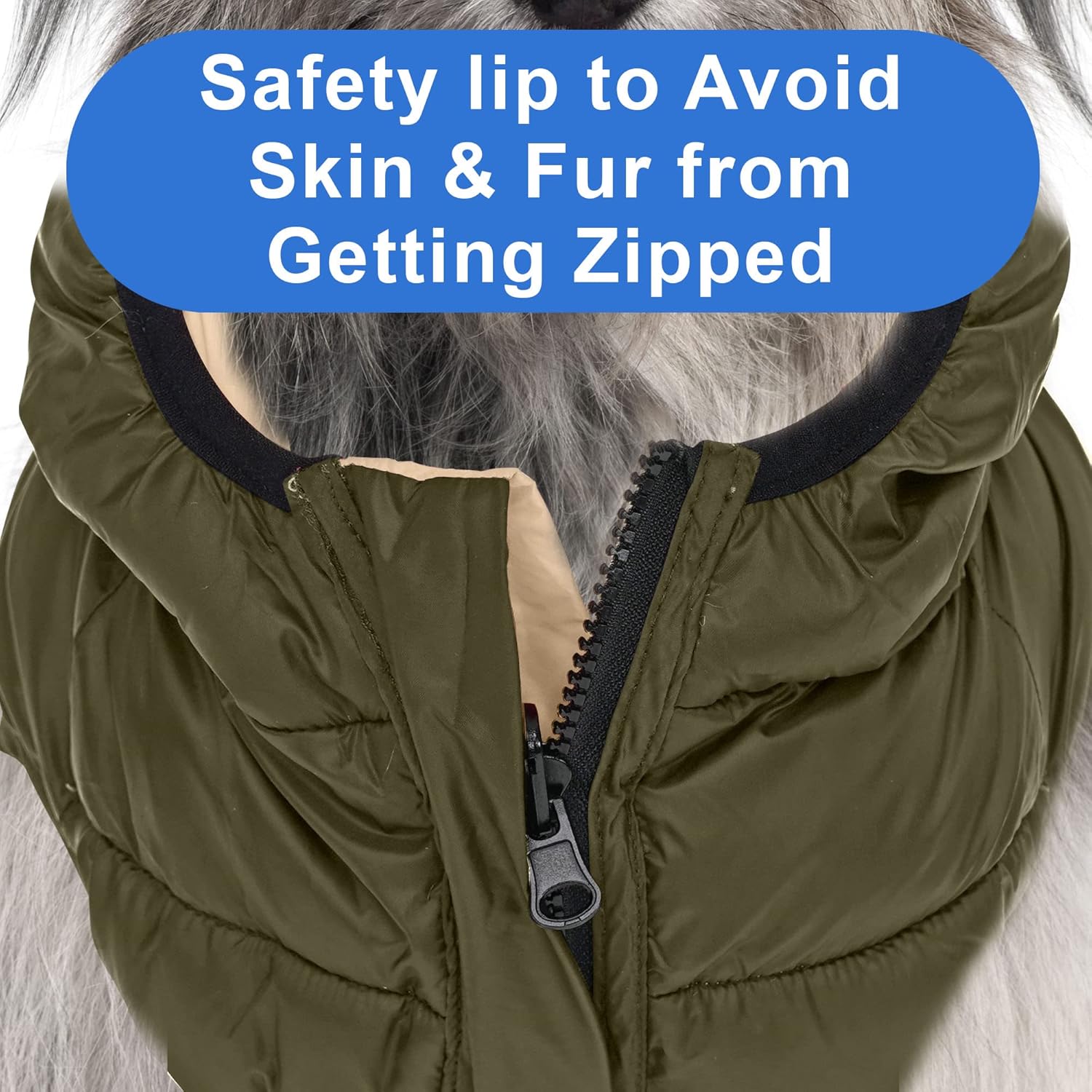 Pawtitas Reversible Windproof Jacket | Water Resistant | Dog Coat for Winter - Green/Beige - XSmall - Pouch Included