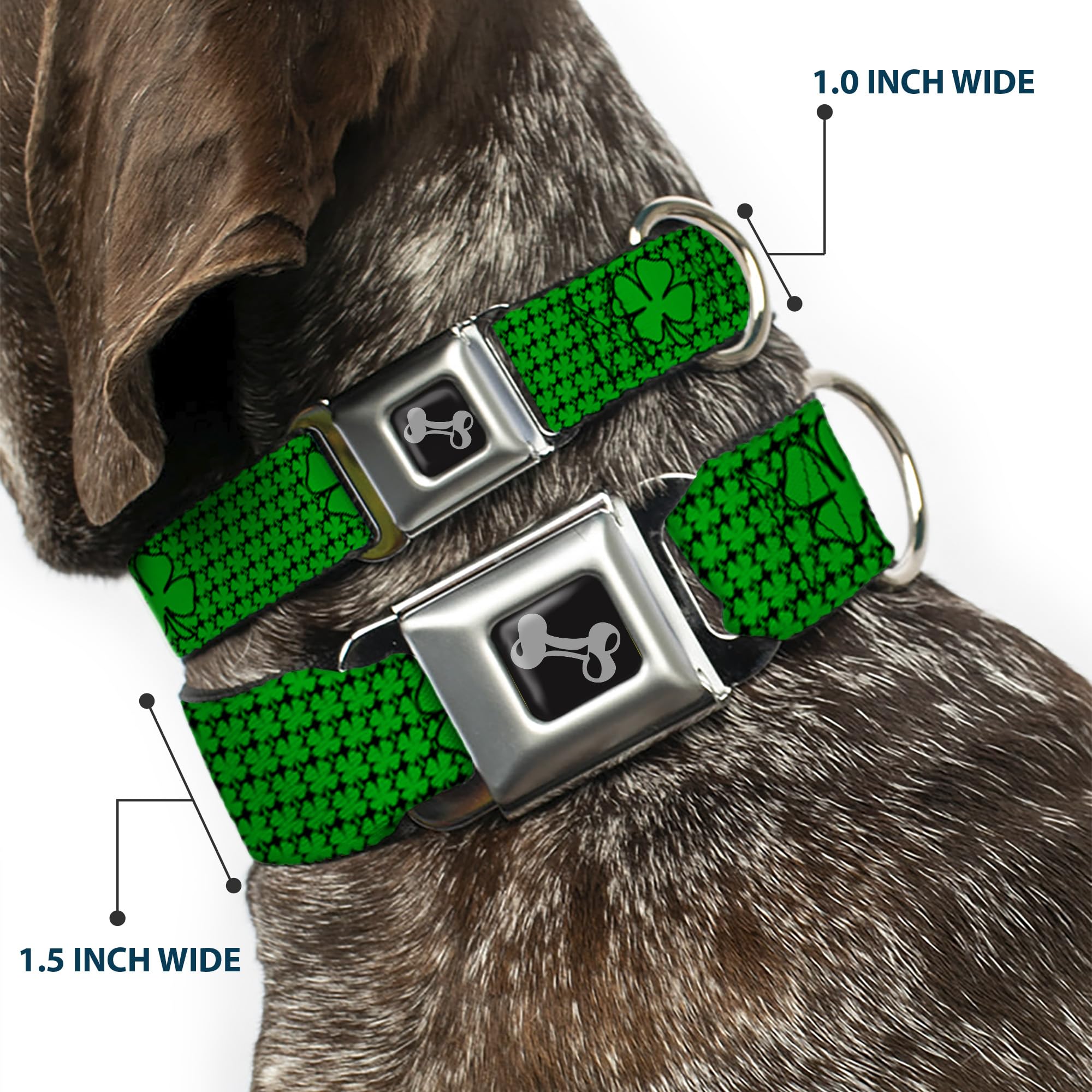 Buckle-Down Klamra do pasa bezpieczeństwa obroża dla psa - koniczyny św. Pata, zielona - szerokość 3,8 cm - pasuje na szyję 45-81 cm - duża
