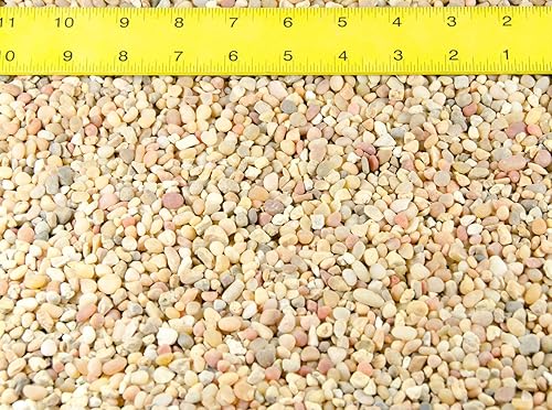 Miniatura 4 de Guijarros de Salmon Bay de 3 libras para humedad/bandeja de goteo, bambú de la suerte, tanque de peces y aderezo