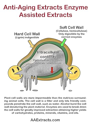 Miniatura 5 de Extractos antienvejecimiento Extracto de té verde de grado cosmecéutico para cosméticos champú cuidado del cabello antienvejecimiento pérdida de