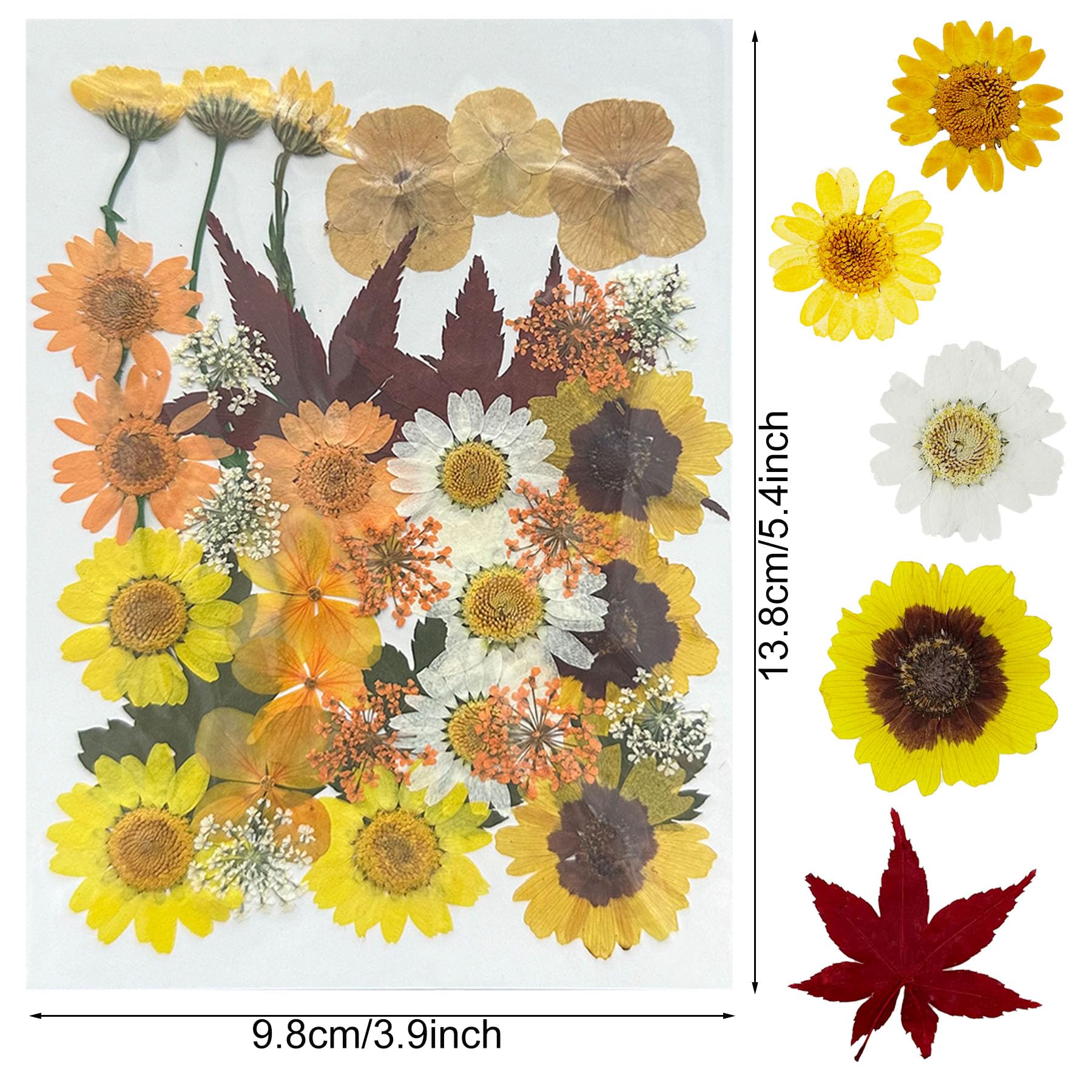 Woohome 4 Pack Dried Flowers for Resin Molds 137 Pcs Real Natural Dried Pressed Flowers - Image 4