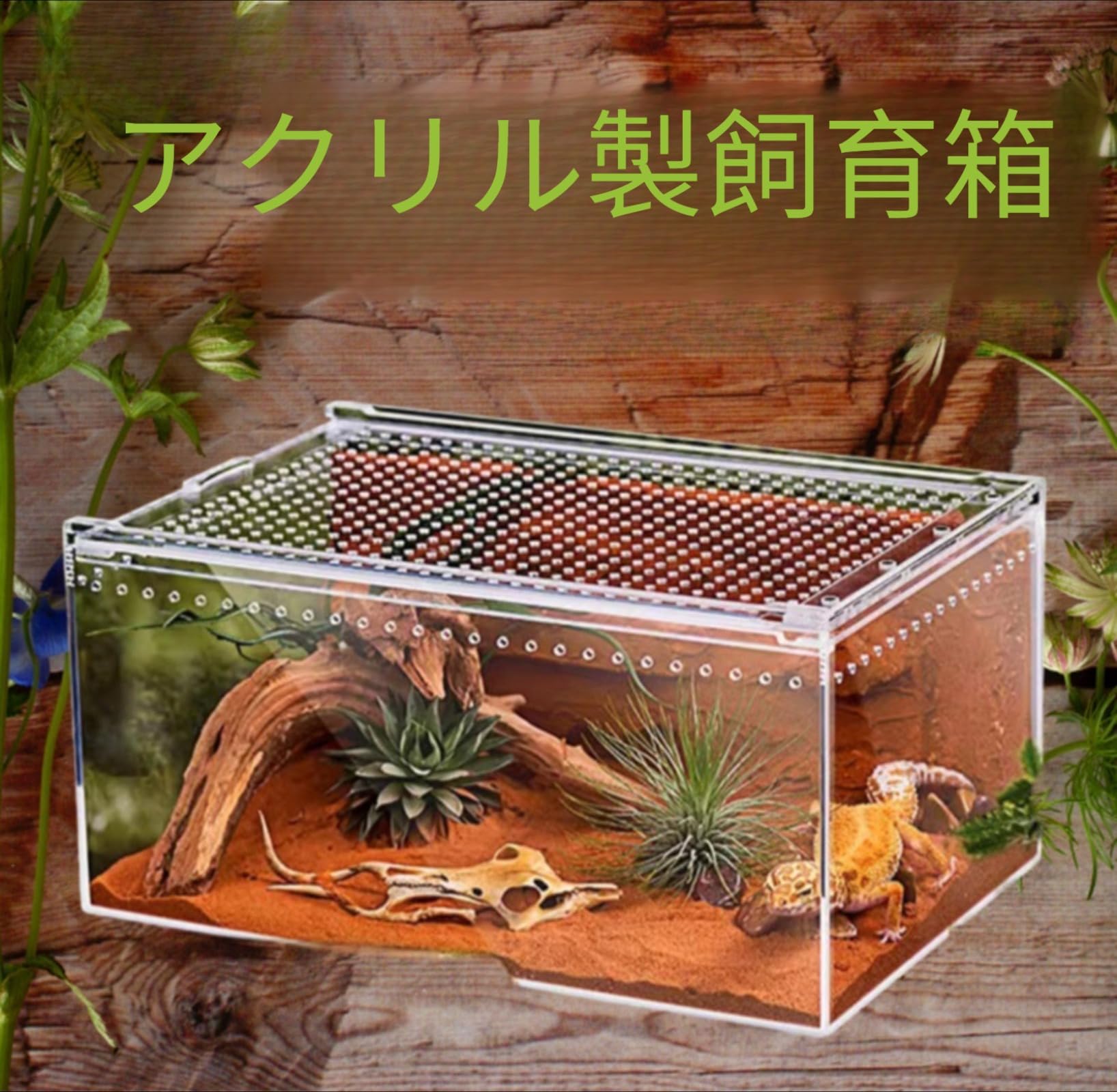 Amazon | 【jieseaban】レプタイルボックス 爬虫類 飼育ケース 大型 虫
