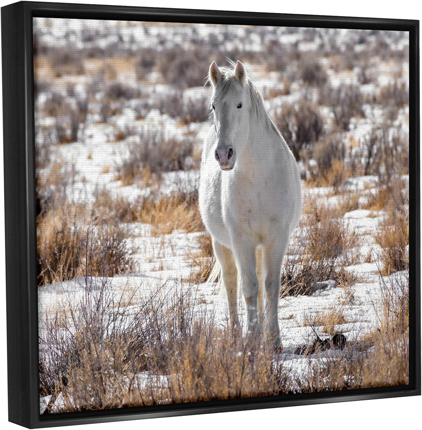 Stupell Industries Winter Snow Horse Wildlife Floating Framed Wall Art, Design by Jeff Poe