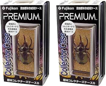 超美品　昆虫標本　コノハムシ　ケース付き 楽天市場】【楽天1位】 標本コレクターズケース S フジコン