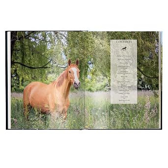 Equestrian - The Ultimate Book