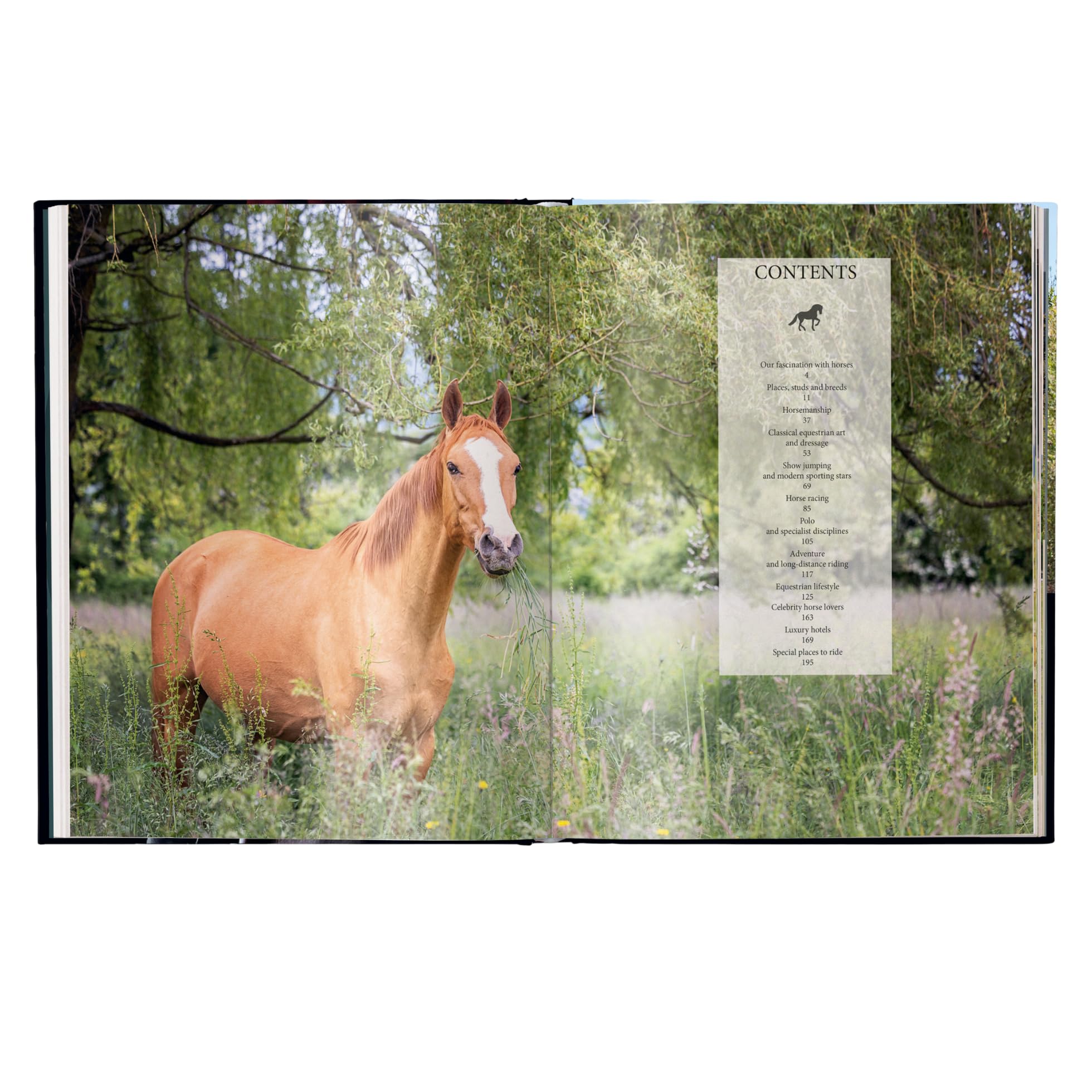 Equestrian: The Ultimate Book