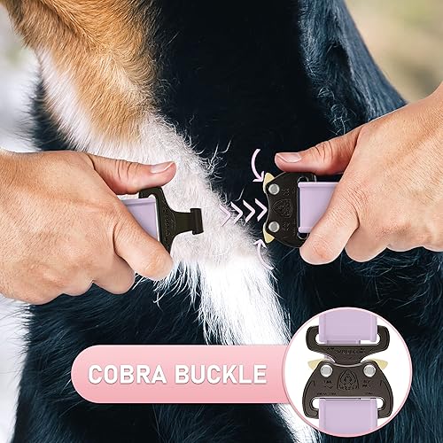 Miniatura 5 de Biothane - Collar de perro con hebilla de cobra, fabricado en Estados Unidos, etiqueta de identificación con código QR incluida, collares de perro