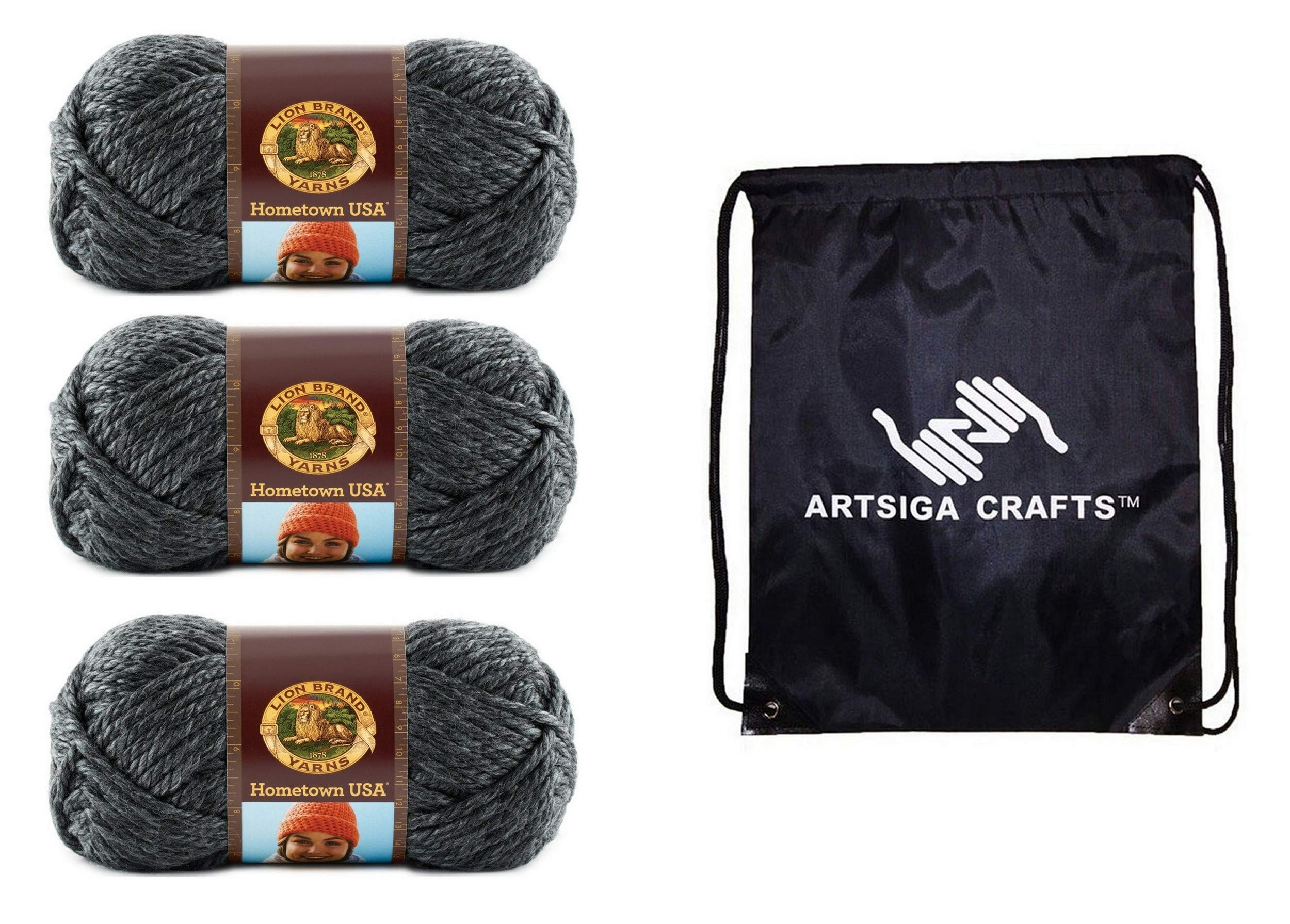 Lion Brand YarnKnitting Hometown Chicago Charcoal 3-Skein Factory Pack (Same Dye Lot) 135-150 Bundle with 1 Artsiga Crafts Project Bag