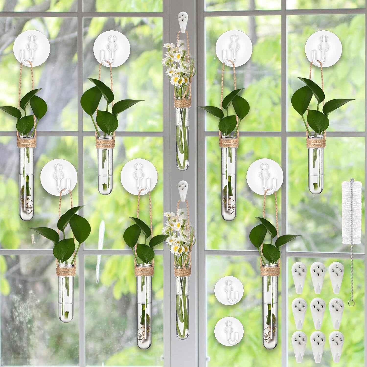 Baderke 9 Pack Clear Window Propagation Stations Plastic Window Planter with Suction Cups & Traceless Nails, Propagated Plant Holders with Bottle Brush, Hanging Vases Terrarium Gift(5")