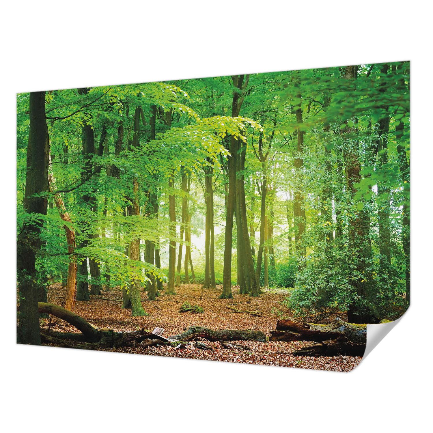 Papier peint autocollant Tulup 152x104 cm forêt verte décor mural salon