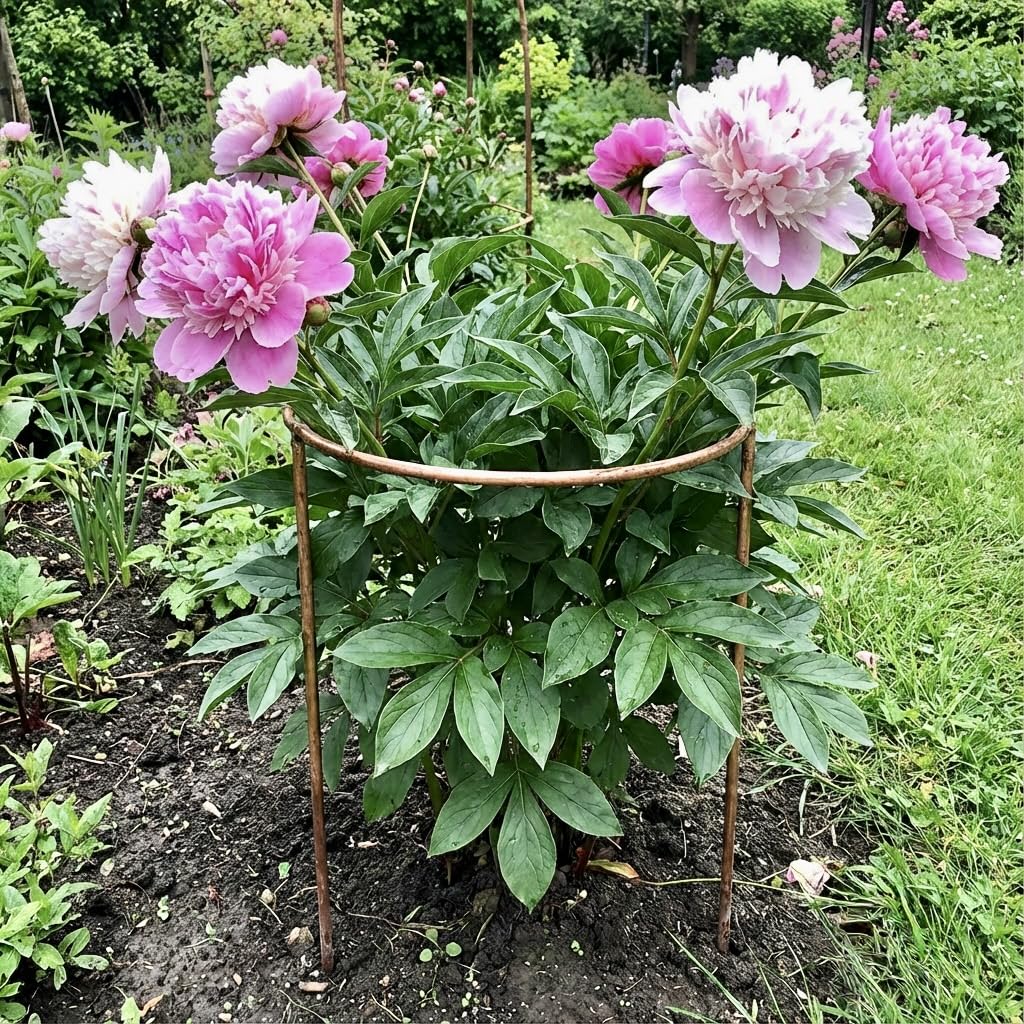 GAP GARDEN PRODUCTS 20" (51cm) x 10" (25cm) Border Support, Bare Metal Ready 2 Rust (pack of 8)