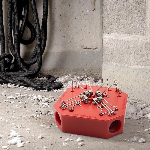 Miniatura 7 de Trampa reutilizable para ratones  Trampas para ratones de múltiples capturas para uso en interiores y exteriores, seguras para mascotas y niños,