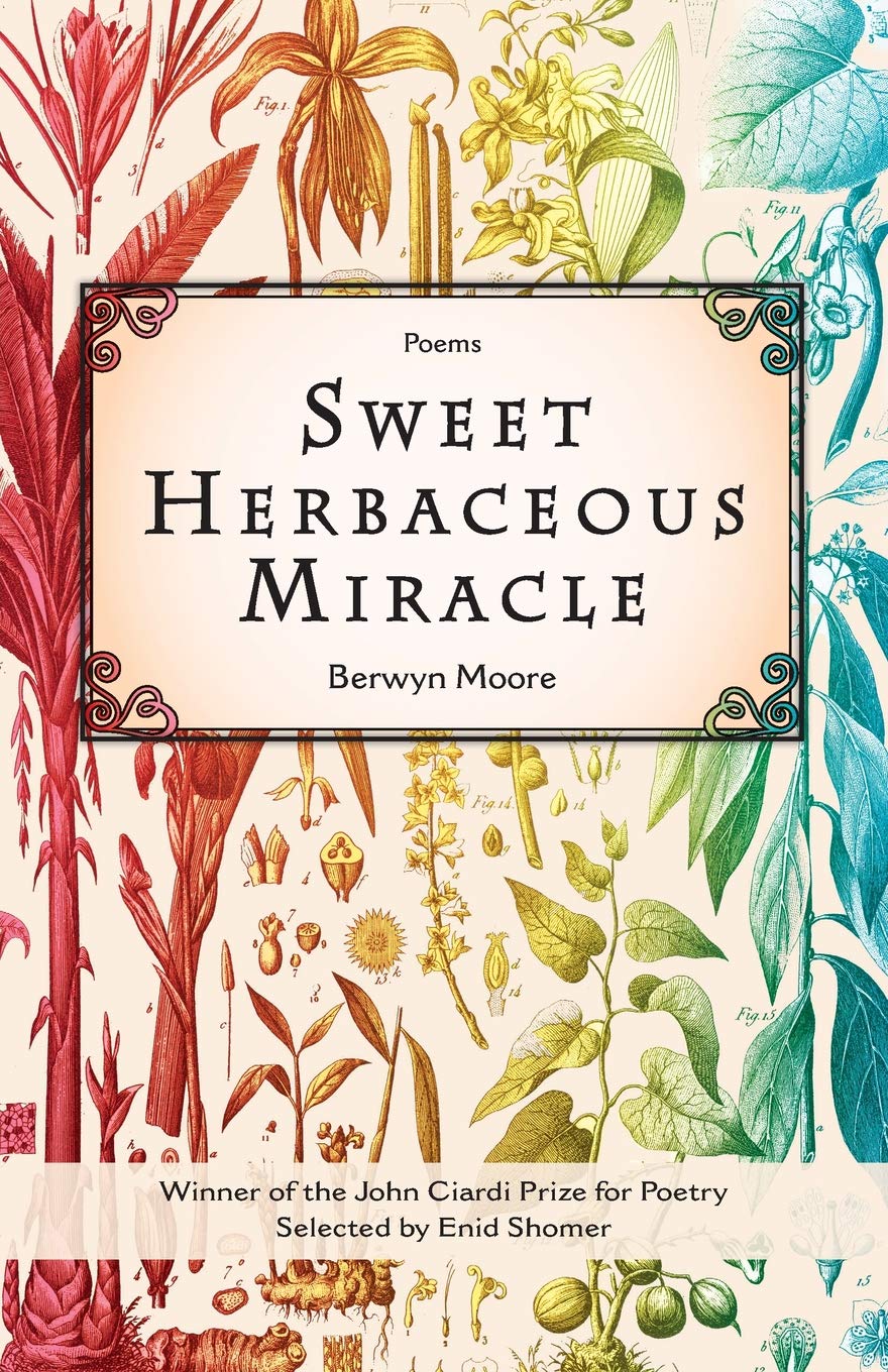 Sweet Herbaceous Miracle: Poems Paperback – 20 November 2018