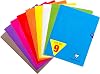 Clairefontaine 299311amzc Pack of 9 Stitched Polypropylene Cover 24 x 32 cm Large Squares 48 Pages Assorted Colours