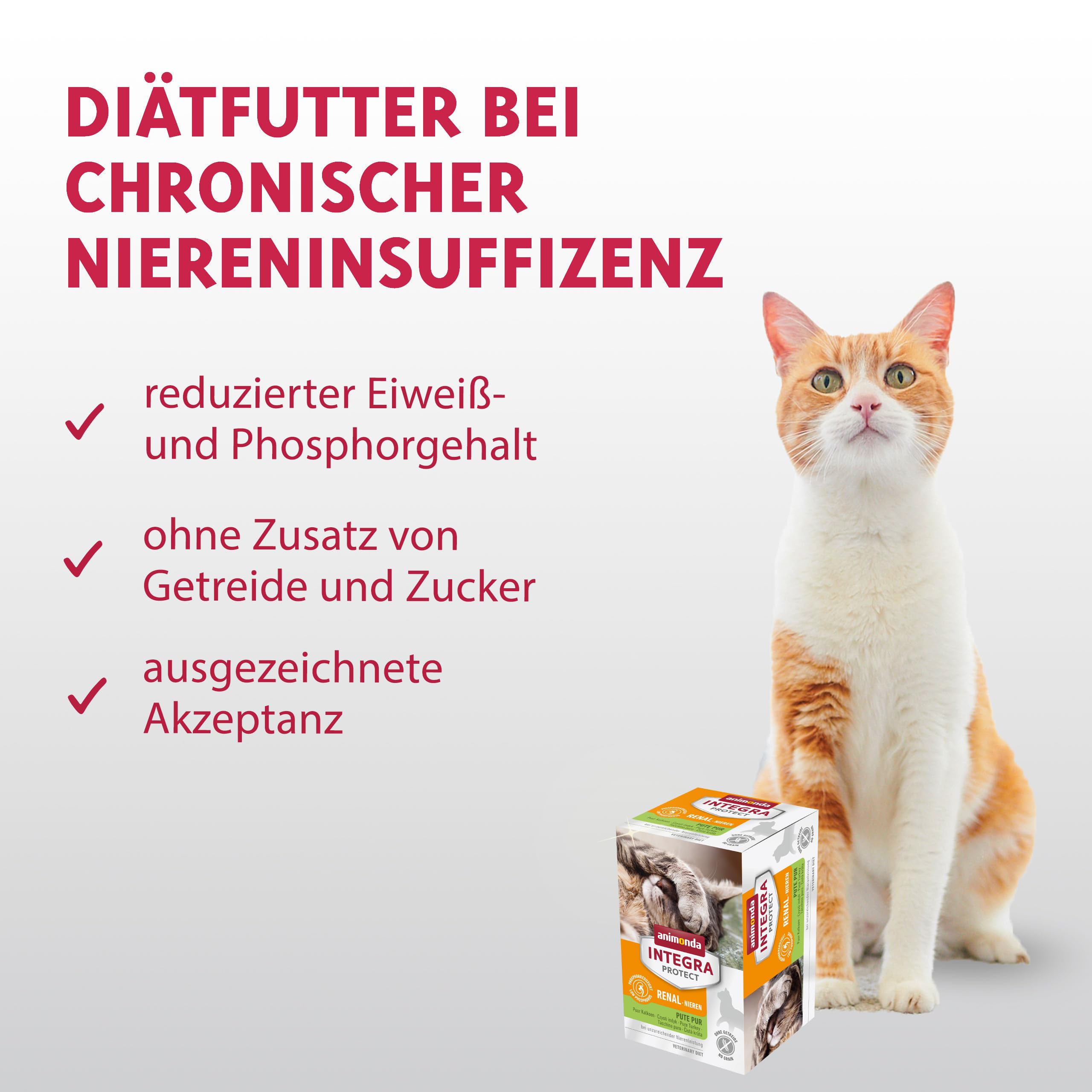 Animonda INTEGRA Protect Nourriture Humide pour Chat Renal Dinde Pur (6 x 100 g), recommandée par Le vétérinaire en Cas d'insuffisance rénale, complément Alimentaire développé avec des vétérinaires