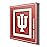YouTheFan NCAA Indiana Hoosiers 3D Logo Series Wall Art - 12x12
