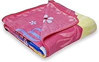 Vista 3 de Northwest Frozen Loving Sisters Manta de micro raschel, 46 x 60 pulgadas