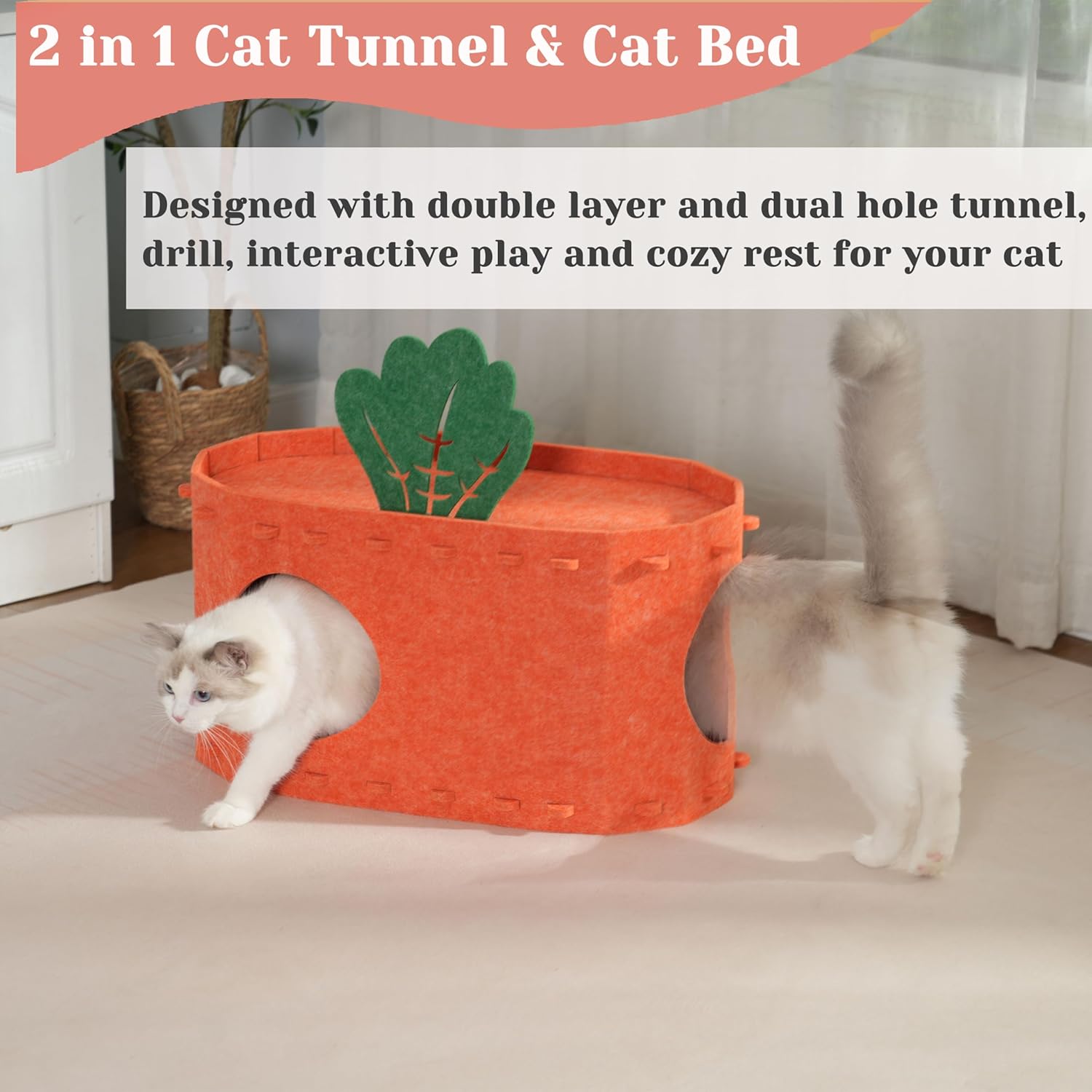 review Cat Cave for Multiple Cats, Cat Tunnel Bed, Scratch Resistant Cat Bed Cave Large, Cat Houses for Indoor Cats, Foldable Cat Hideaway Caves