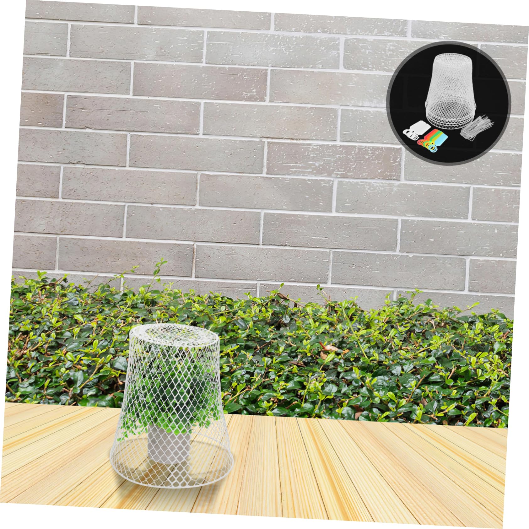 Levemolo Cloches Métalliques pour Plantes Protection Animaux Usage Jardin Balcon Facile Entretien Résistant Intempéries