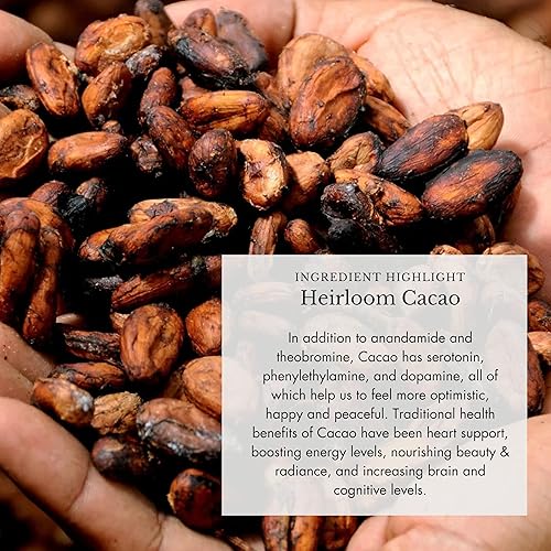 Miniatura 6 de Anima Mundi Apothecary Suplemento orgánico de hongos  hongos adaptogénicos + cacao  Polvo estimulante con melena de león orgánica, shiitake, chaga y