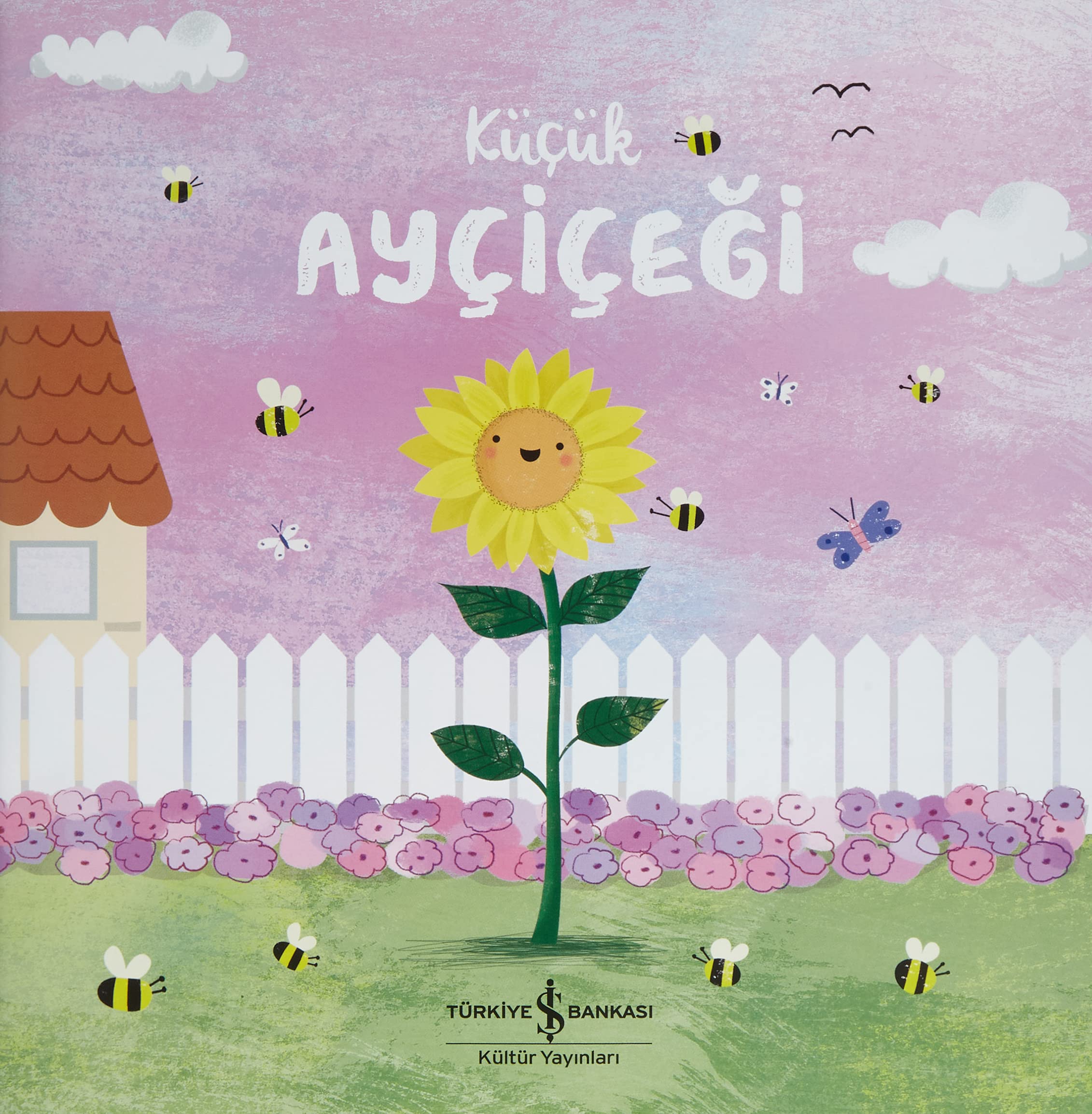 Kücük Aycicegi