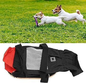 Amazon.co.jp: 後足用犬猫車椅子、サイレントホイール付きペット