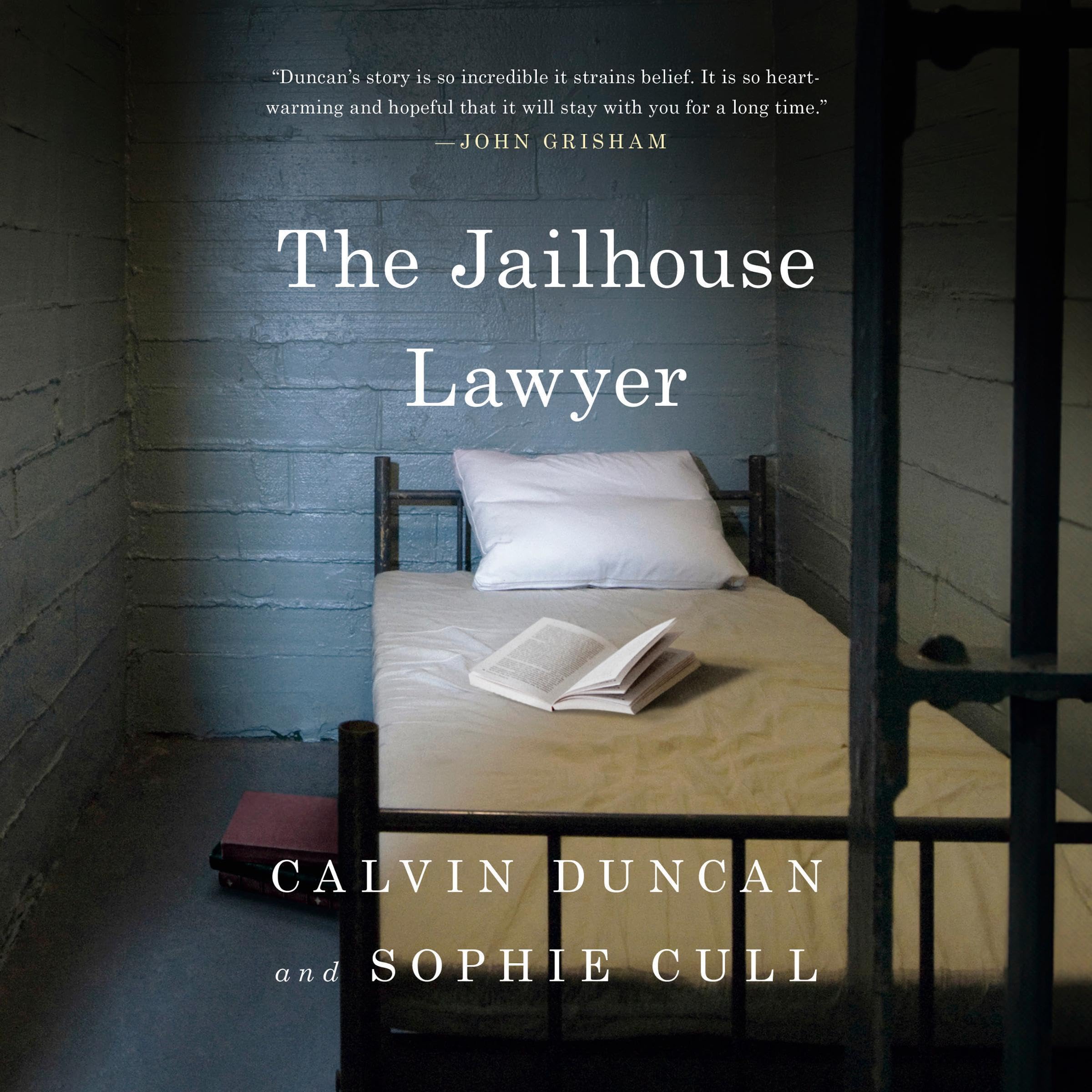 Cover art for The Jailhouse Lawyer