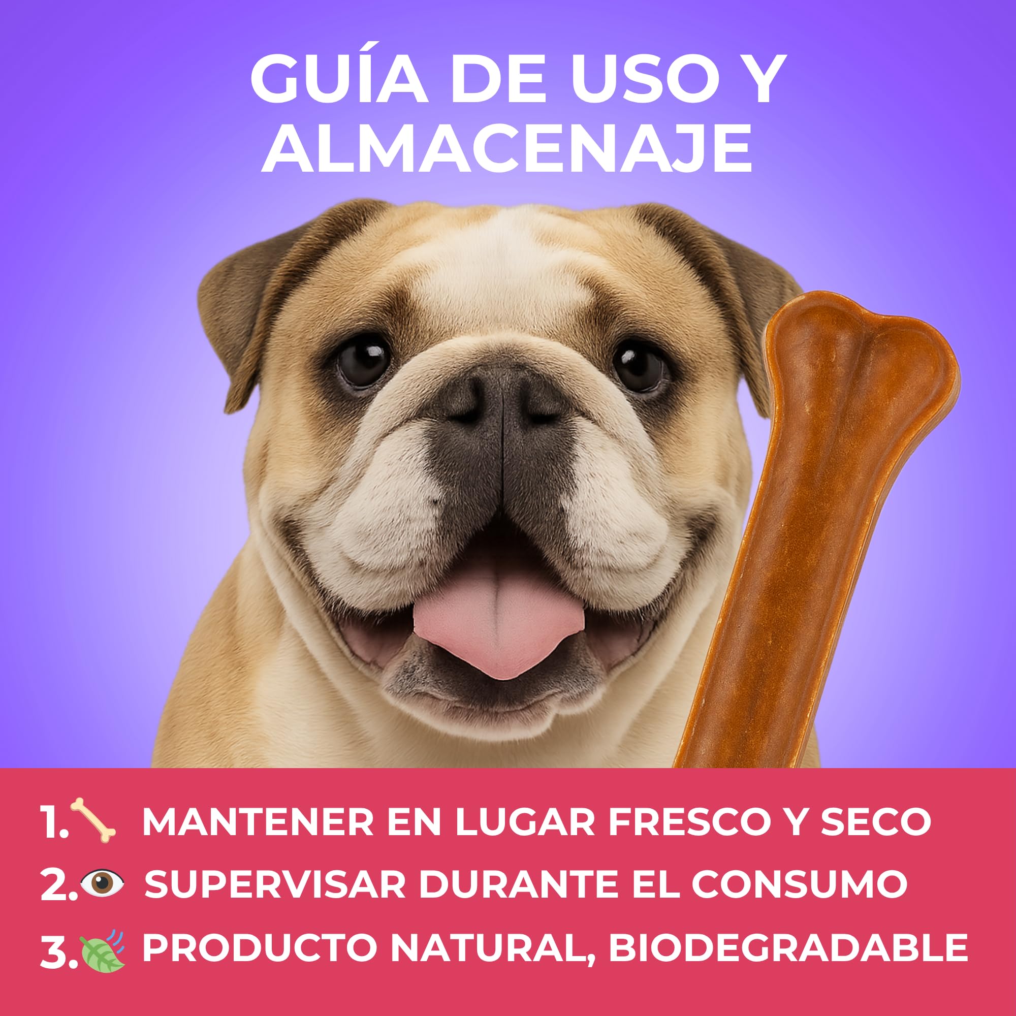 MOLY Lot de 10 os pressés pour chiens 26 cm | Snack naturel pour mastication prolongée | Renforce la santé dentaire et les gencives | Faible en gras | Idéal pour chiens moyens et grands