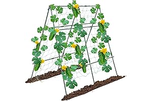 Garden Trellis for Green Beans: A-Frame Veggie Support for Climbing Vegetables