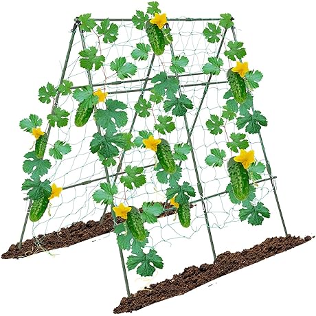 Garden Trellis for Green Beans: A-Frame Veggie Support for Climbing Vegetables