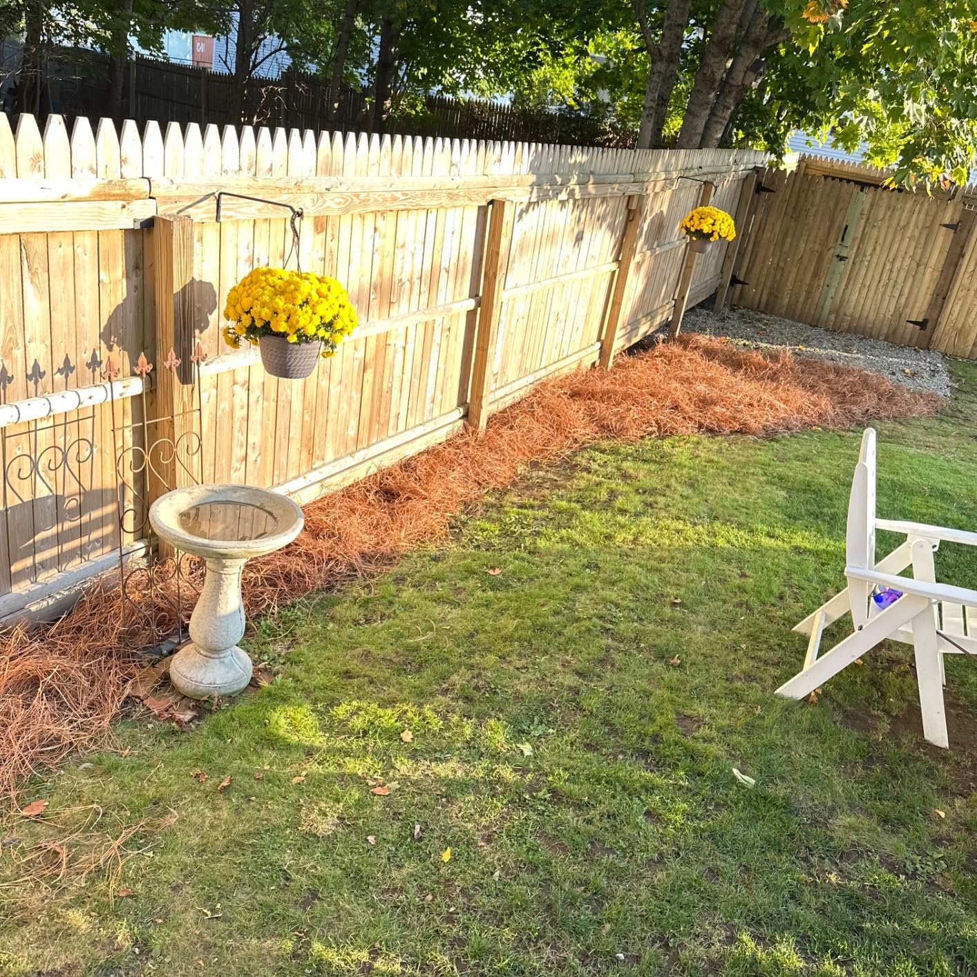 Quality and volume !