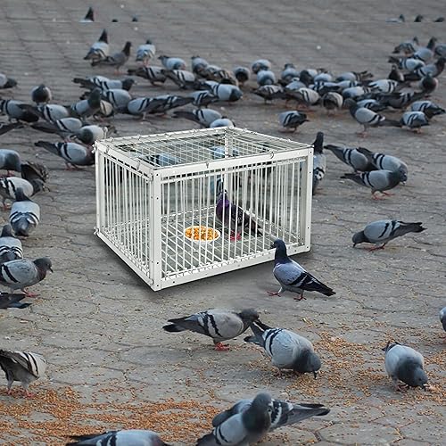 Miniatura 2 de Pigeon Trap with Escape-Proof Design, Pigeon Cage with One-Way Entry, Ideal Pigeon Coop, Chicken and Bird Trap Cage, Portable & Easy Assembly,