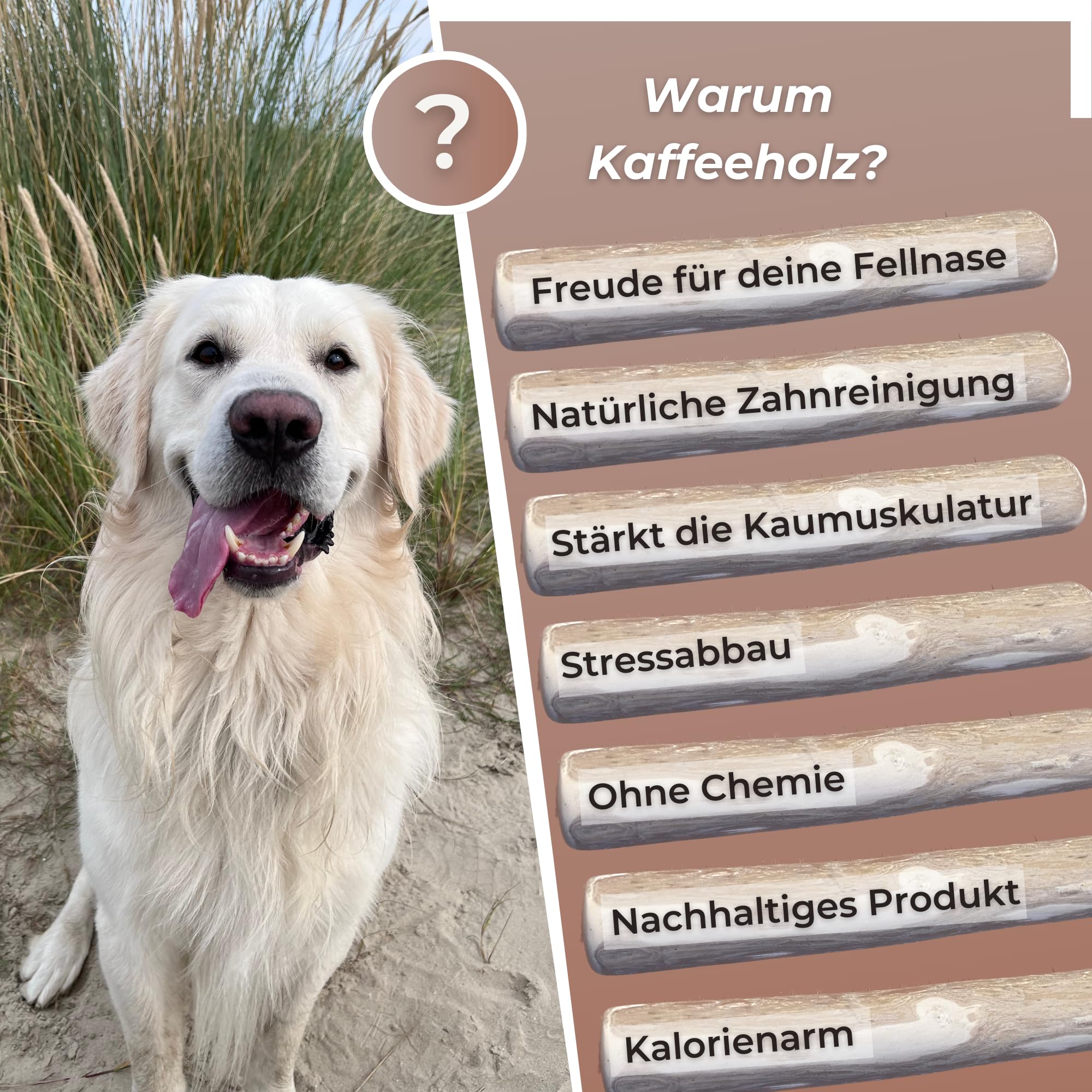 Zoys® Kaffeeholz für Hunde - Natürlicher Kauknochen für Hunde in 5 Größen - Kaustab für Zahnreinigung & Zahngesundheit & nachhaltige Beschäftigung - Hundezubehör langlebig & risikoarm (L, 3, stück)