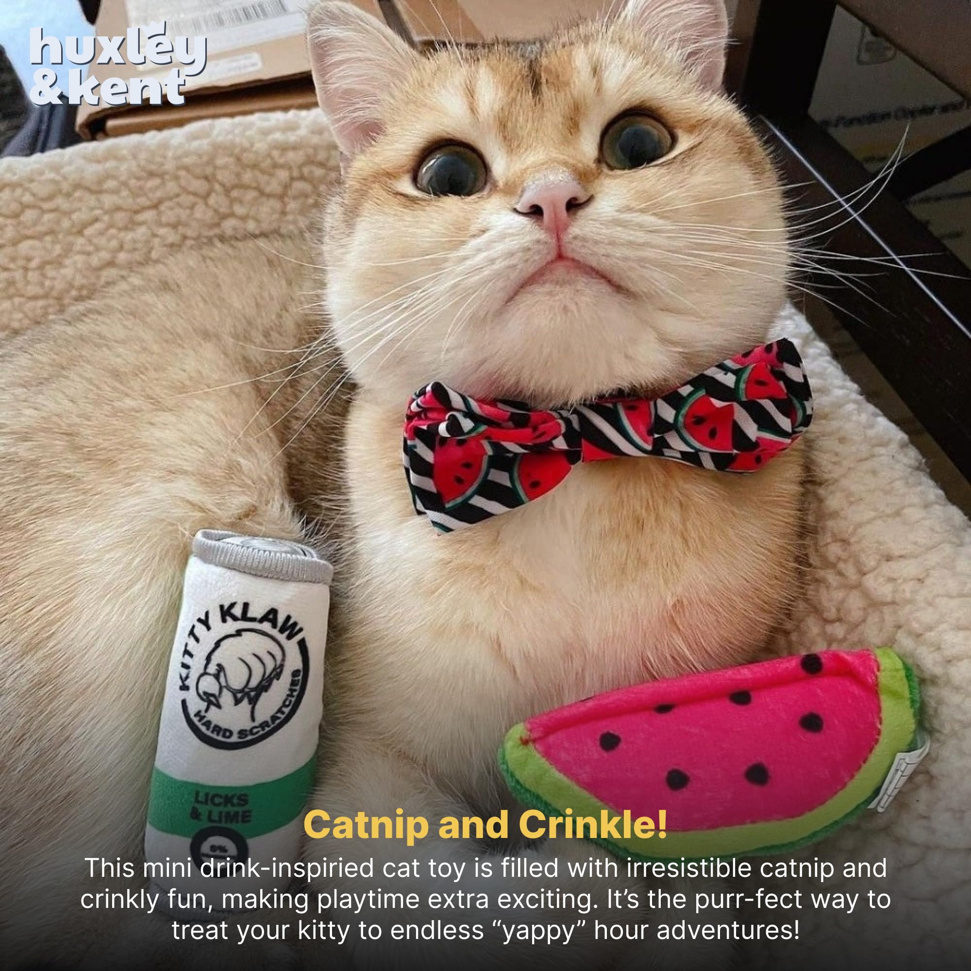 Kittybelles Pickle Cat Toy With Catnip – Funny, Realistic Plush Cat Gift By Huxley & Kent - View #13