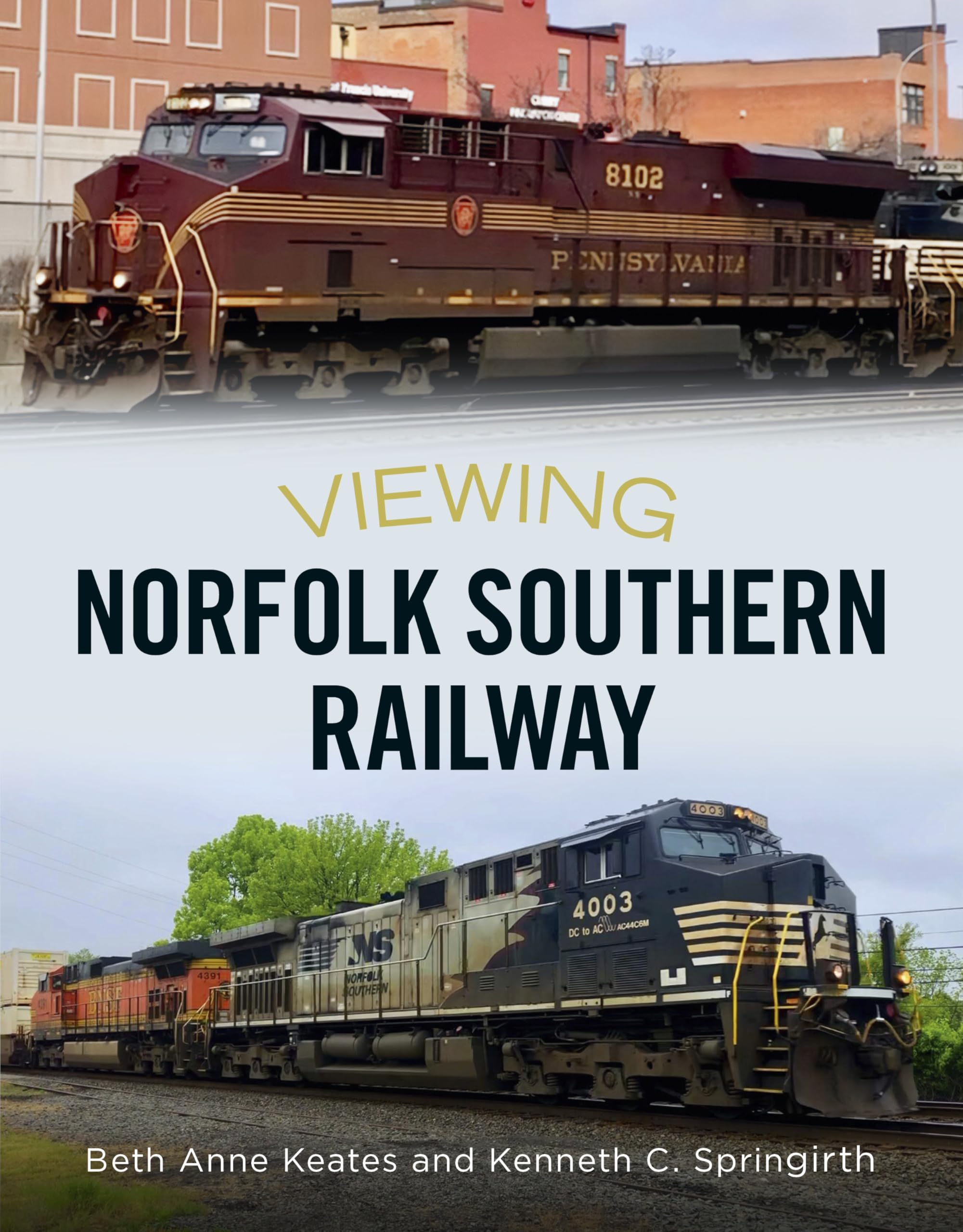 Viewing Norfolk Southern Railway (America Through Time)