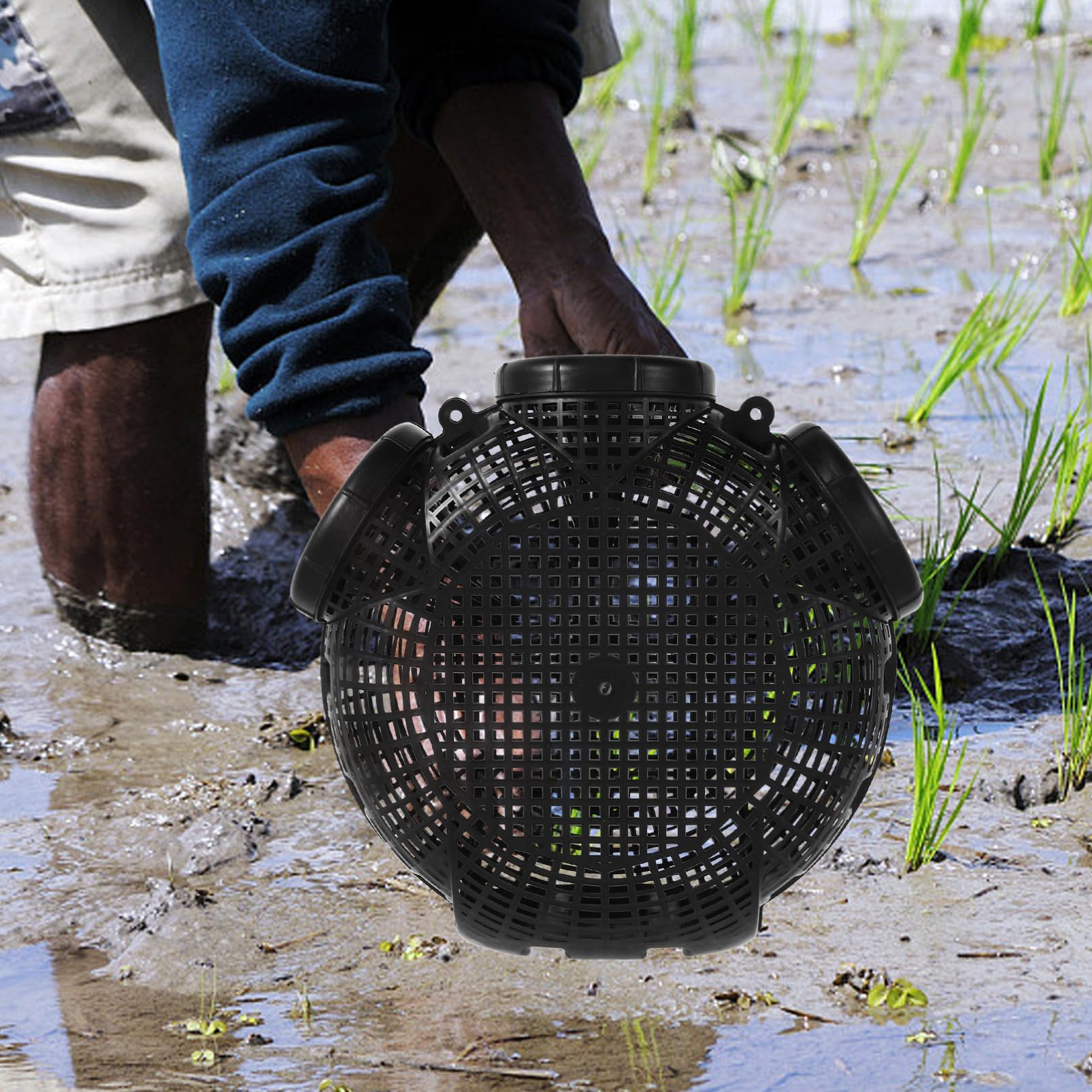 ARTSEWPLY Loach Catching Basket Multi-Purpose Fish Trap for Crayfish Lobster Small Fish Shrimp