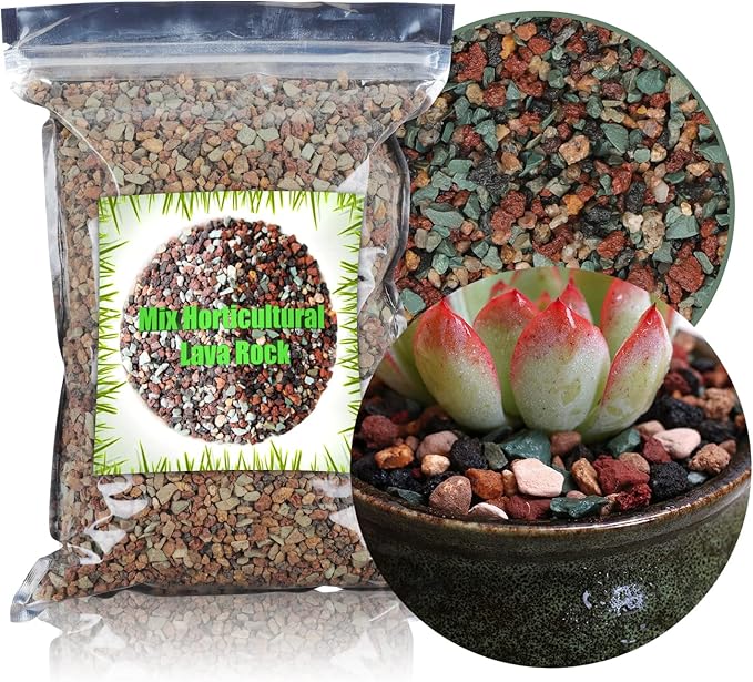 2.2lbs Horticultural Lava Rock Mix Bonsai Succulent Cactus