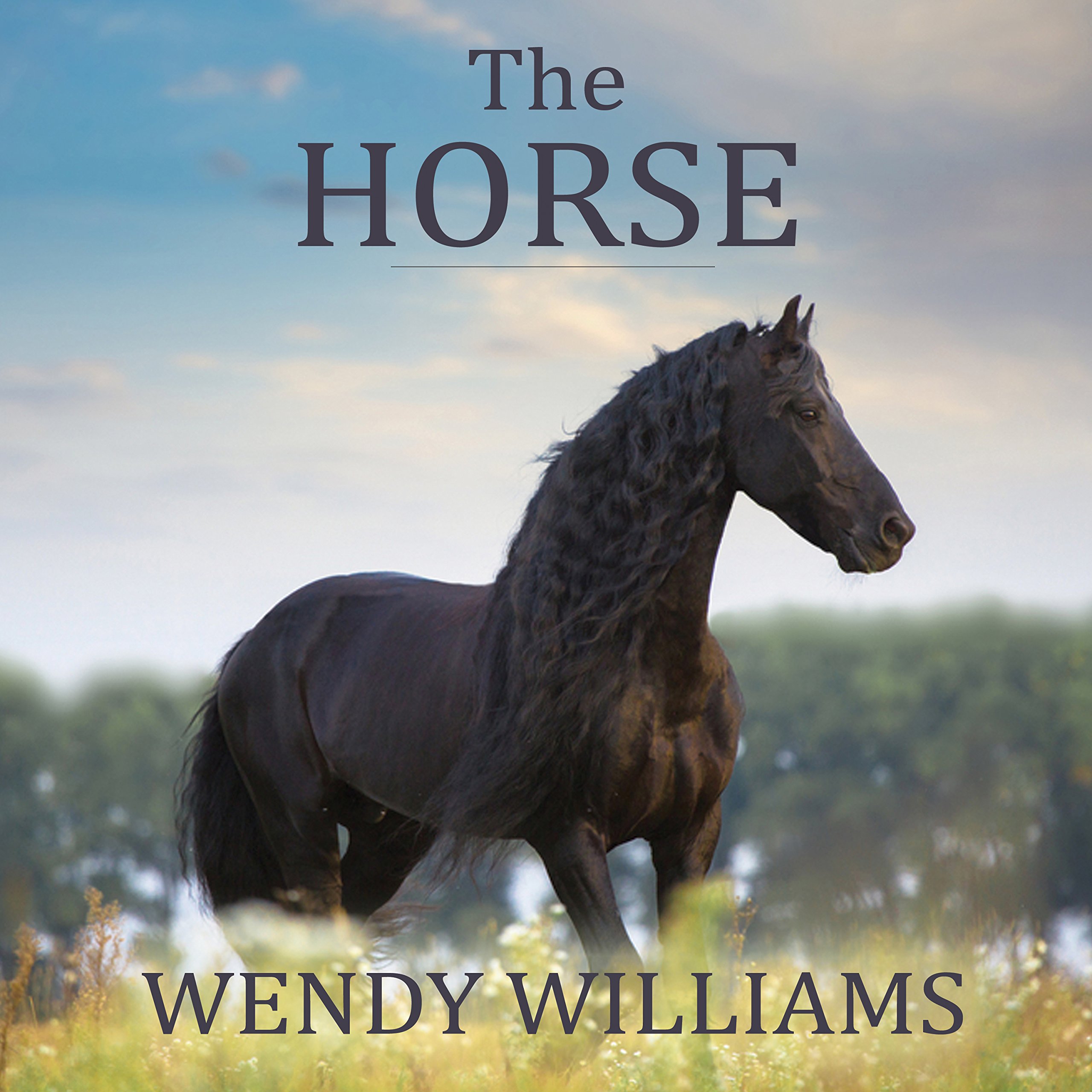 Cover art for The Horse