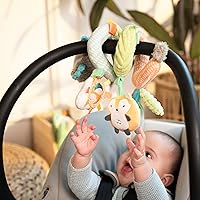 Vista 8 de Ingenuity Nally & Friends - Barra de juguetes de actividad en espiral, juguetes extraíbles con múltiples texturas, mordedor de silicona sin BPA