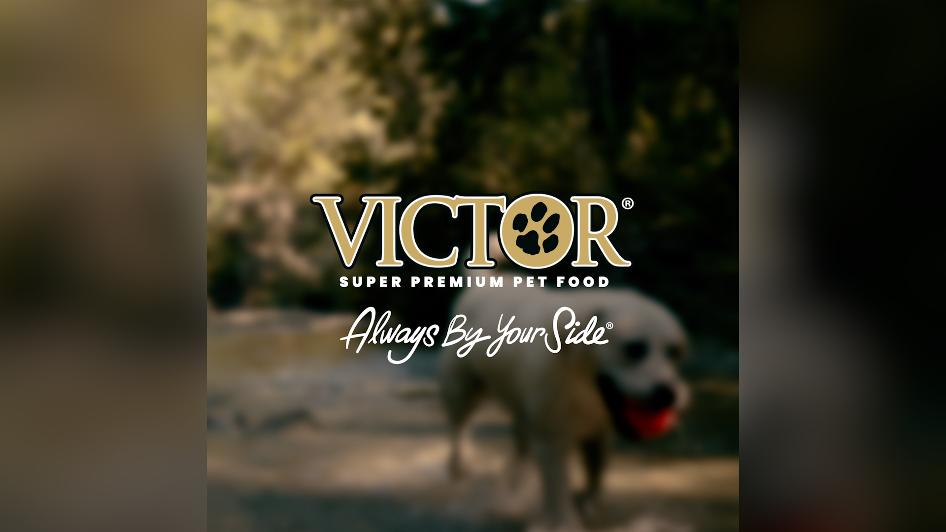 Amazon.com: VICTOR Super Premium Dog Food – Multi-Pro Dry Canine