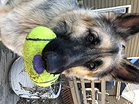 Review Image by Dianne Averill Dianne Averill