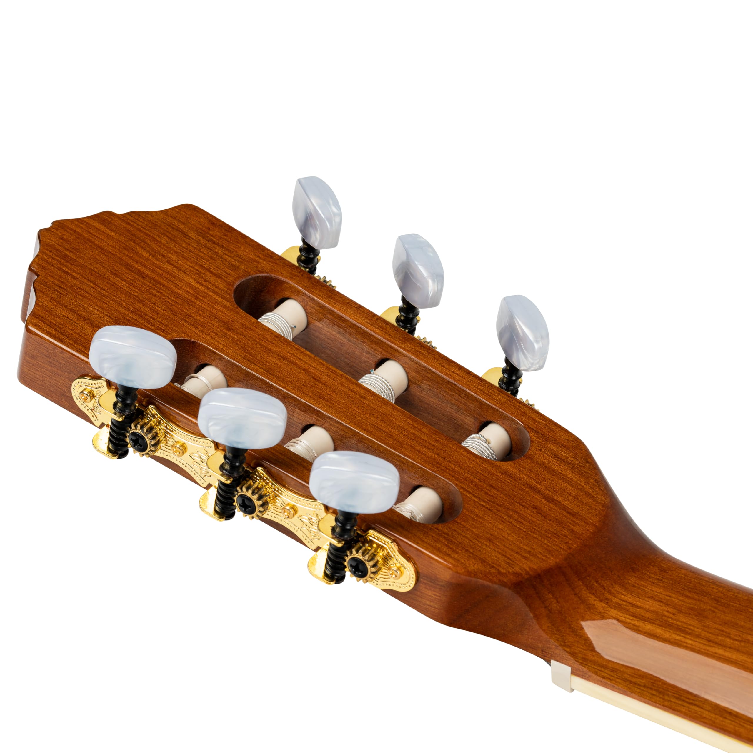 Ortega Guitars Family Series Pro - Guitarra de concierto de tamaño completo (electroacústica, abeto y caoba, incluye funda (RCE141NT)