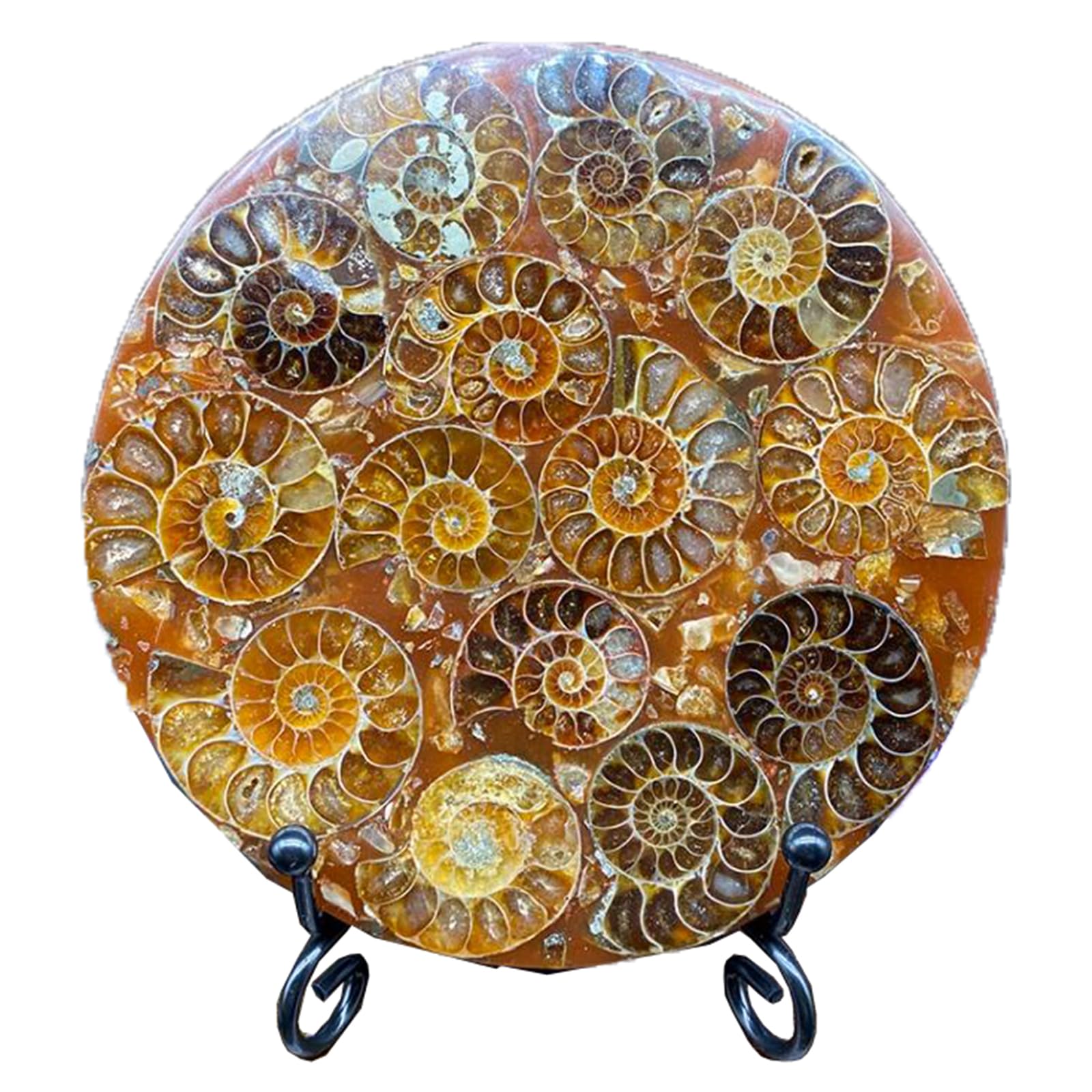 Lkylvee Natural Chrysanthemum Stone Jade Fossil Ammonite Fossil Stone Specimens Fossil Science Teaching Specimens Decorative Ornaments,,11Cm