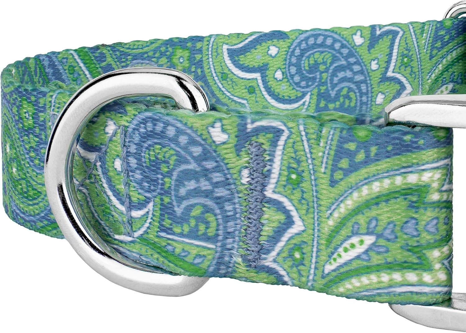 Country Brook Petz - Premium Green Paisley Dog Collar and Leash - Paisley Collection Featuring Classy Designs (1 Inch, Medium)