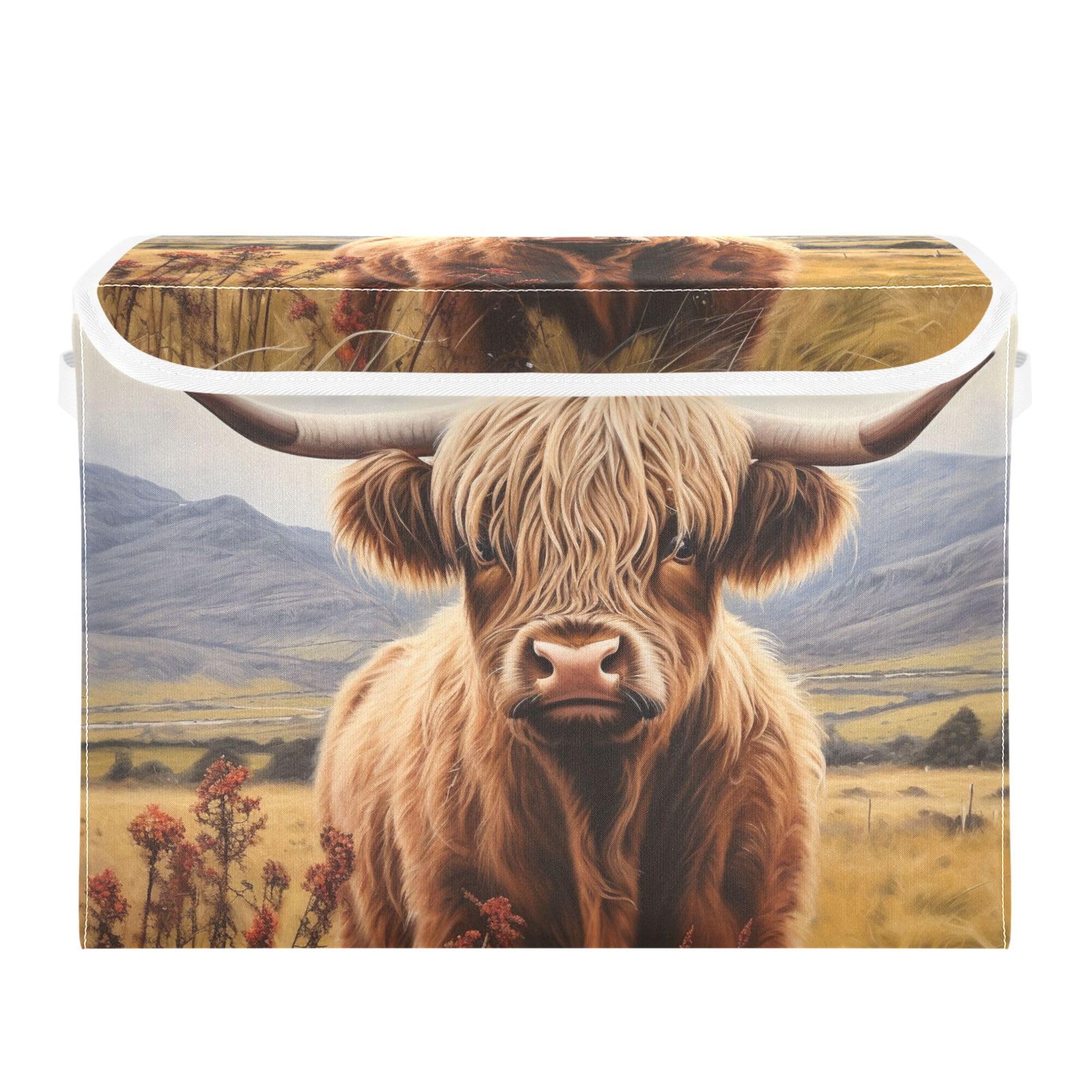 ALAZA Storage Boxes with Lids, Collapsible Fabric Storage Cubes with Handle Highland Cow Closet Organizers Basket Shelves Bins Cabinet for Home Bedroom Office