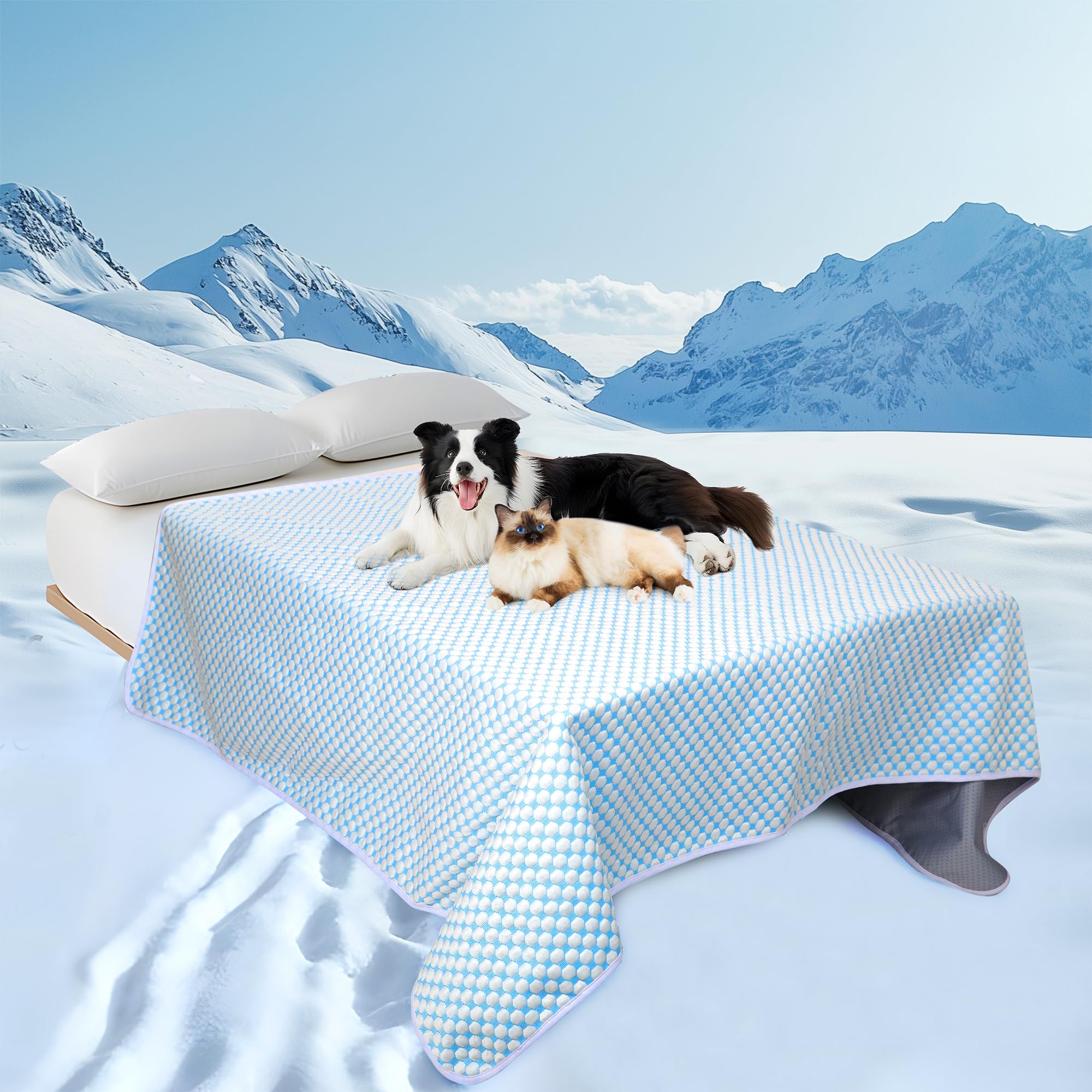 Kühldecke für Hunde, Q-MAX>0,4, wasserdichte Haustier-Überwurfdecke, Bettdecke, rutschfeste Hundedecken für Couch, waschbarer Möbelbezug für den Sommer, Perlblau, 60 x 80 cm