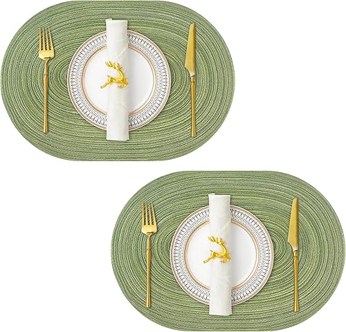 JeogYong Juego de 2 manteles individuales ovalados de 14 x 20 pulgadas, lavables, resistentes al calor, para mesas de comedor, decoración de