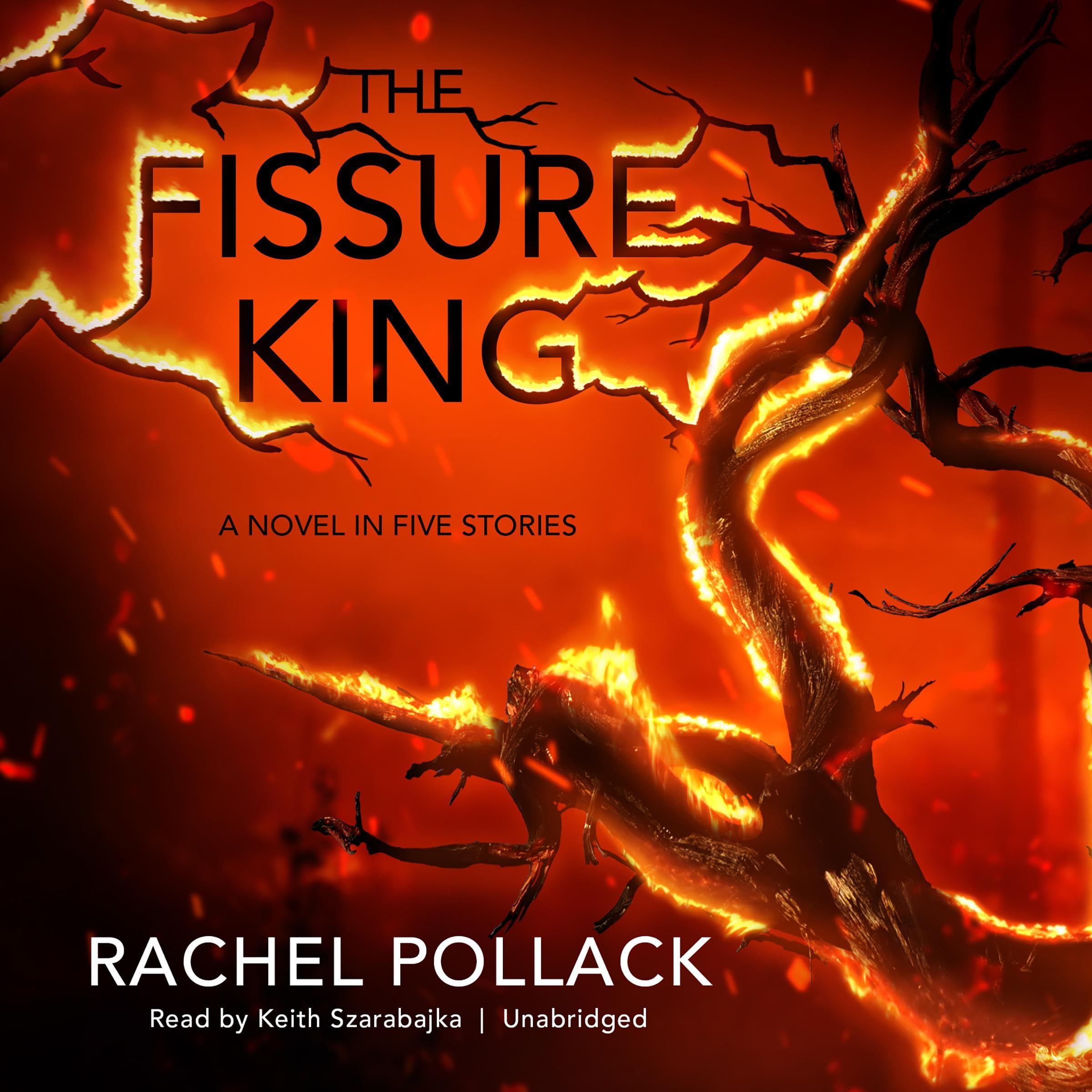 Cover art for The Fissure King
