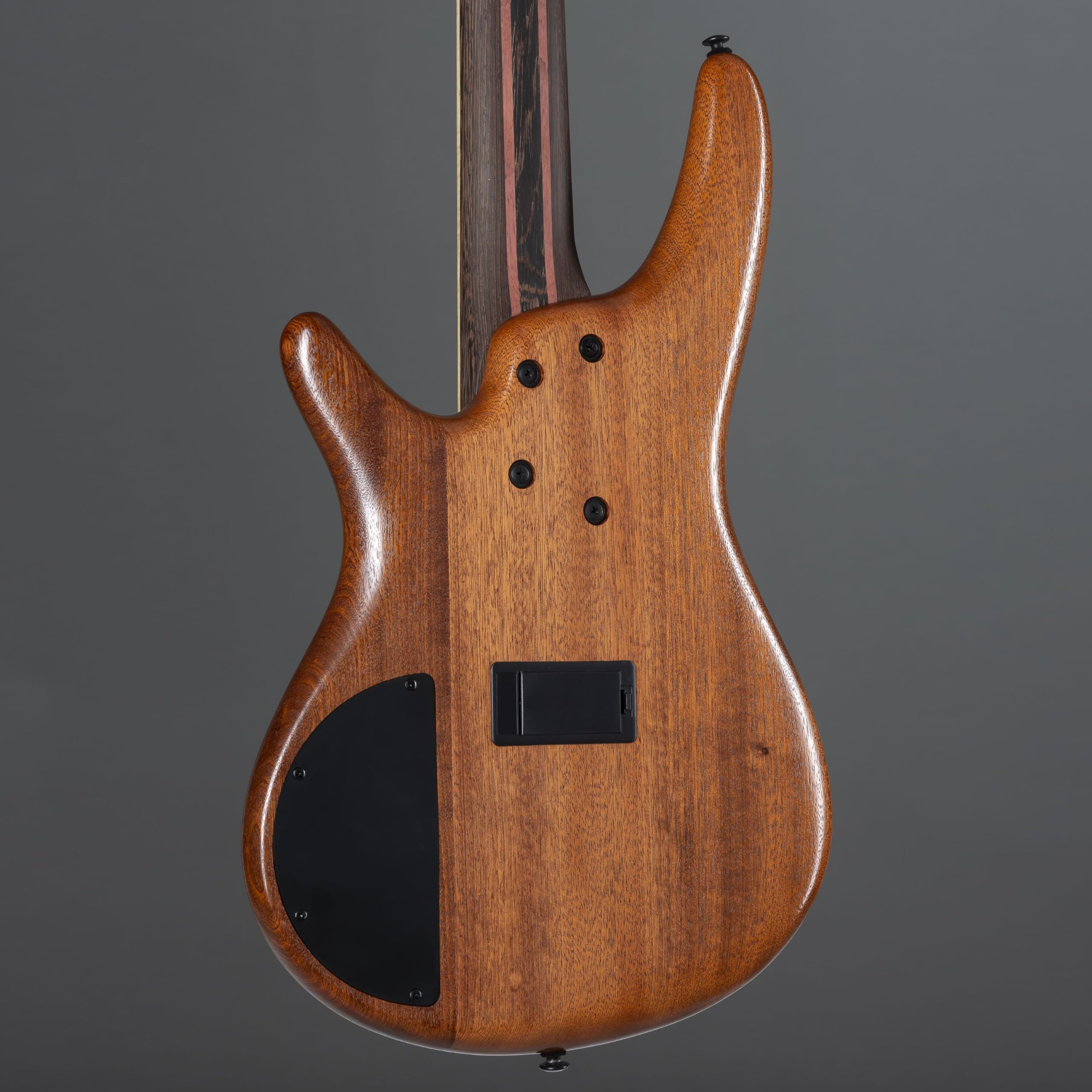 Ibanez Premium SR5FMDX2-NTL Natural Low Gloss - Basso elettrico a 5 corde