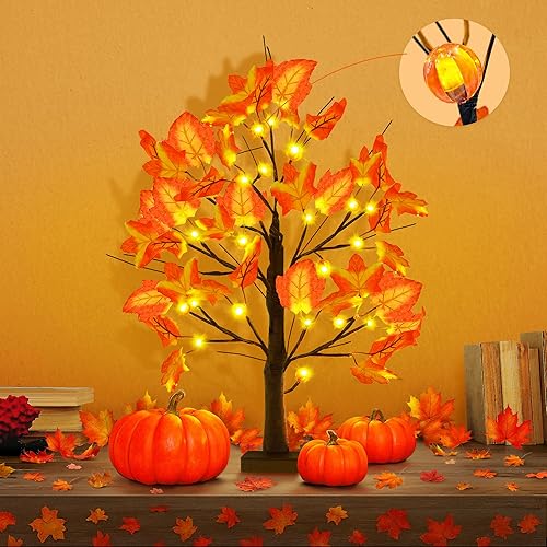 KatchOn, Árbol de arce con luz LED de Acción de Gracias, 24 pulgadas, luz de mesa de árbol de arce de Acción de Gracias, árbol iluminado de otoño,